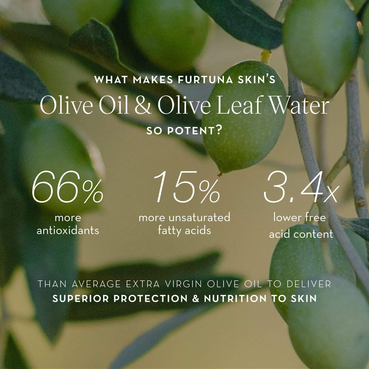 Furtuna Skin Biphase Moisturizing Oil - Hydrating, Plumping & Protecting Face, Neck, and Decollete Oil, Vegan & Cruelty-Free, Organic Olive Beauty & Personal Care Furtuna Skin