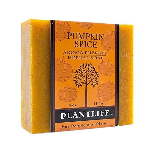 Plantlife Pumpkin Spice Bar Soap - Moisturizing and Soothing Soap for Your Skin - Hand Crafted Using Plant-Based Ingredients - Made in California 4oz Beauty & Personal Care Plantlife