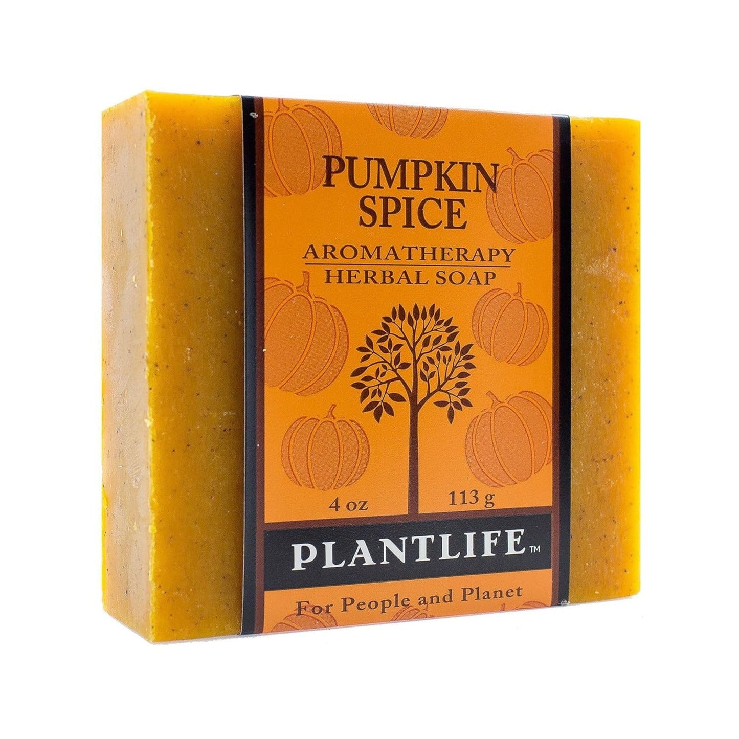 Plantlife Pumpkin Spice Bar Soap - Moisturizing and Soothing Soap for Your Skin - Hand Crafted Using Plant-Based Ingredients - Made in California 4oz Beauty & Personal Care Plantlife