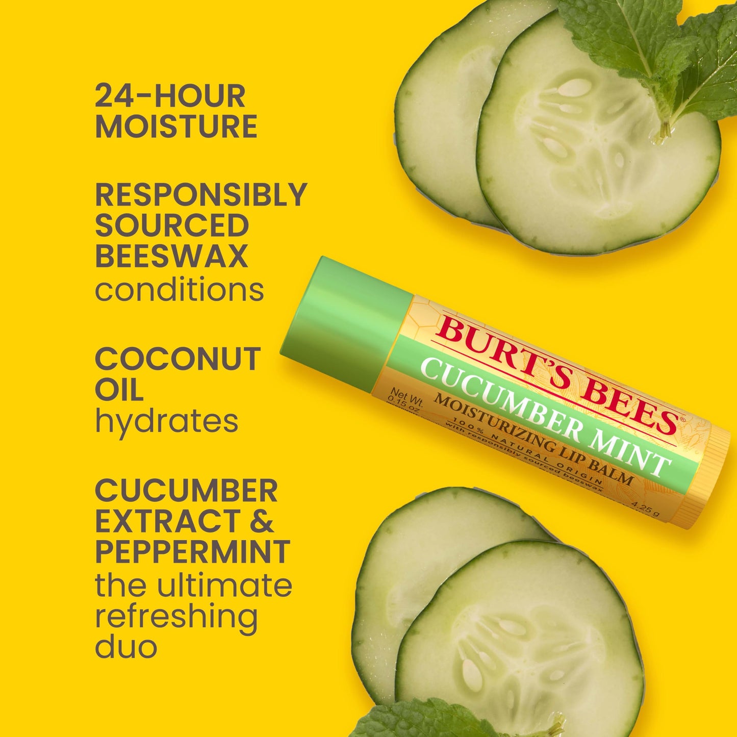 Burt's Bees 100% Natural Moisturizing Lip Balm, Multipack - Original Beeswax, Cucumber Mint, Coconut & Pear and Vanilla Bean with Beeswax & Fruit Beauty & Personal Care Burt's Bees