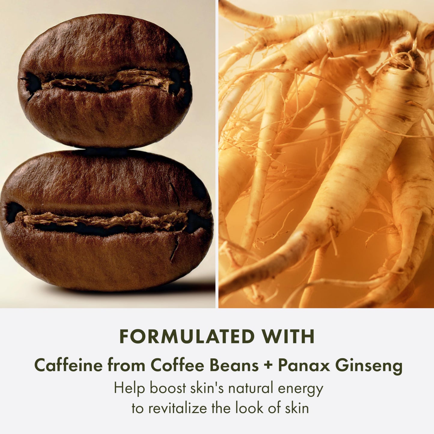 Origins GinZing Energy-Boosting Tinted Moisturizer with SPF 40 | Hydrates & Perfects | Skin Tint with Caffeine and Ginseng, 1.7 Fl Oz Beauty & Personal Care Origins