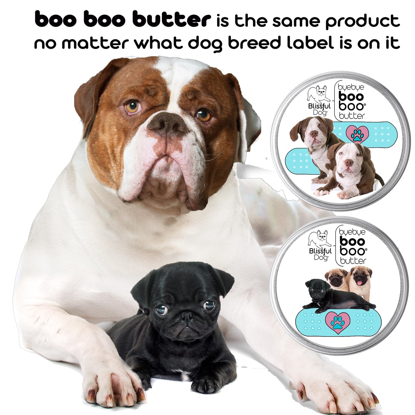 The Blissful Dog Springer Spaniel Boo Butter, 4 oz Beauty and Personal Care The Blissful Dog