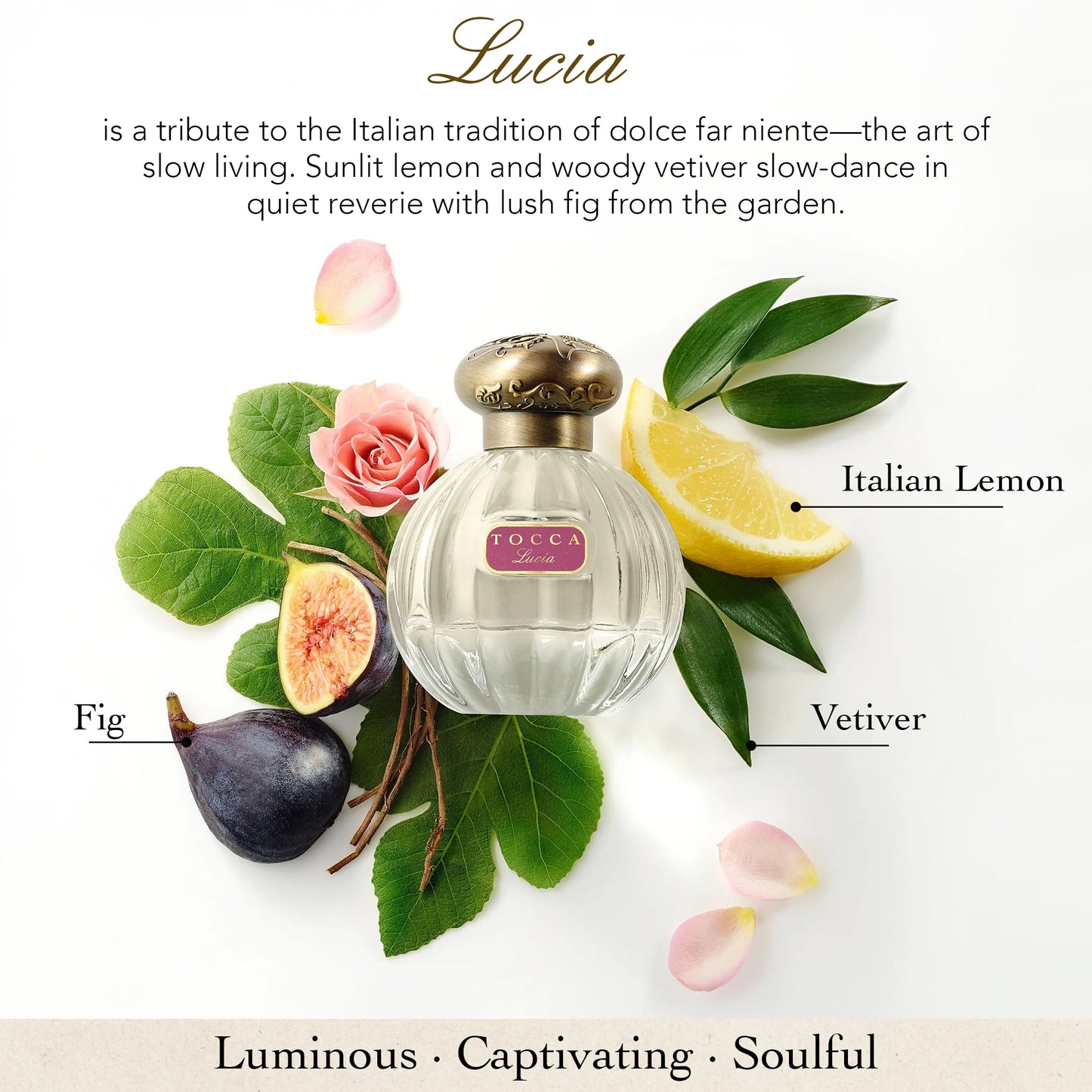 Tocca Wonders Collection Mini Perfume Gift Set ($45 Value) - Trio Includes Florence, Lucia and Laila, 5 ml Each Perfume Dabbers Beauty & Personal Care Tocca