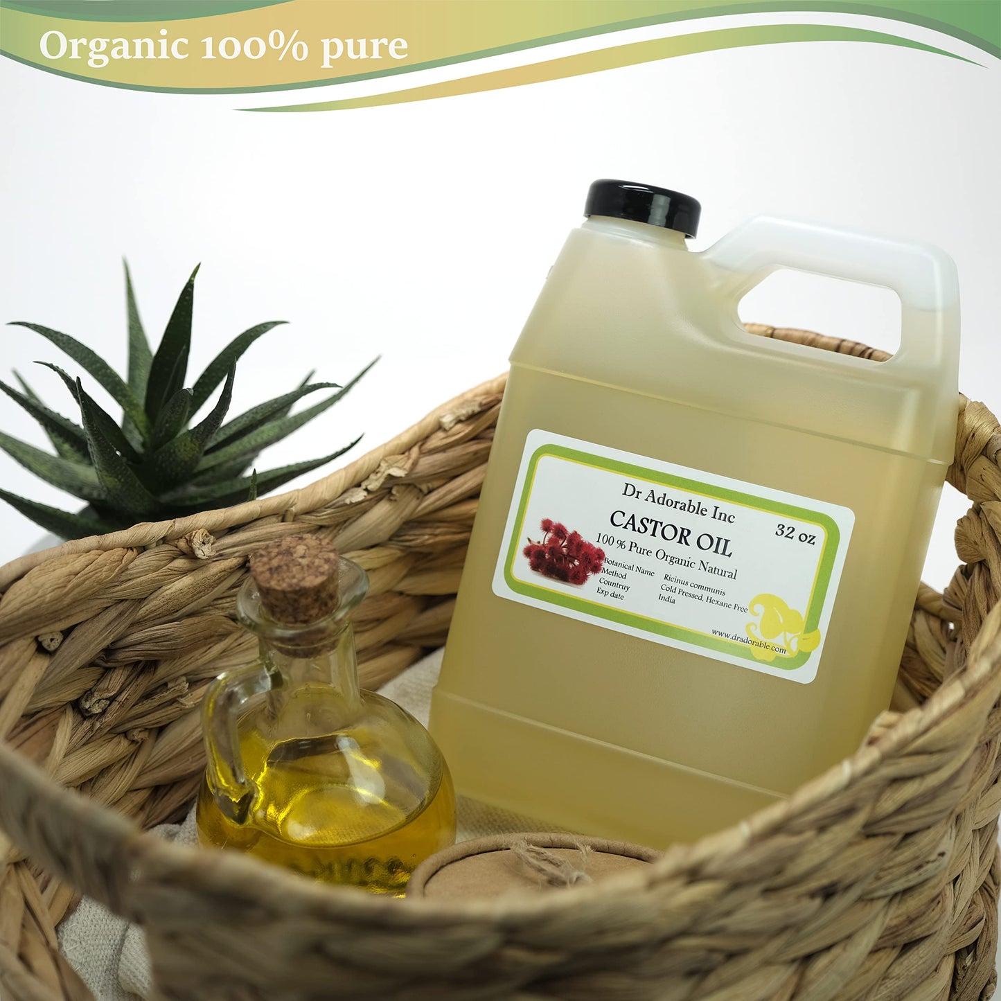 Dr Adorable - 32 Oz - Premium Castor Oil - 100% Pure Natural Organic Cold Pressed Virgin 1 Quart / 2 LB Beauty & Personal Care Dr Adorable