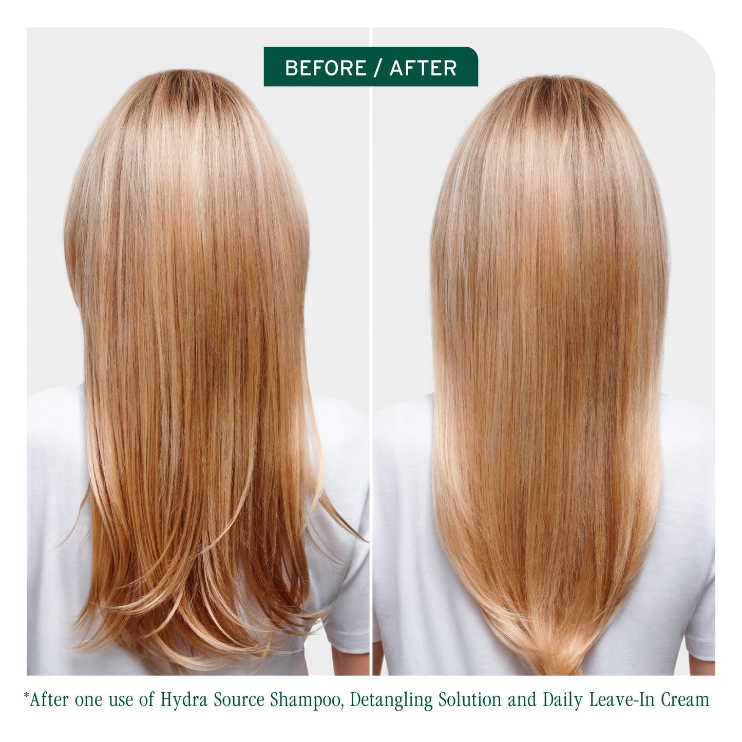 Biolage Hydra Source Detangling Solution - Conditions, Instantly Detangles & Controls Static, For Dry Hair, With Micro-Filtered Aloe Vera & Fermented Beauty & Personal Care Biolage