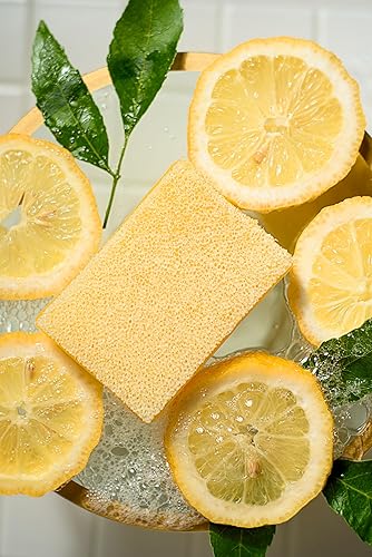 Scrubby Soap Citrus Cleaner (Lemon) 2 Bar Pack Beauty & Personal Care FOVLWYT