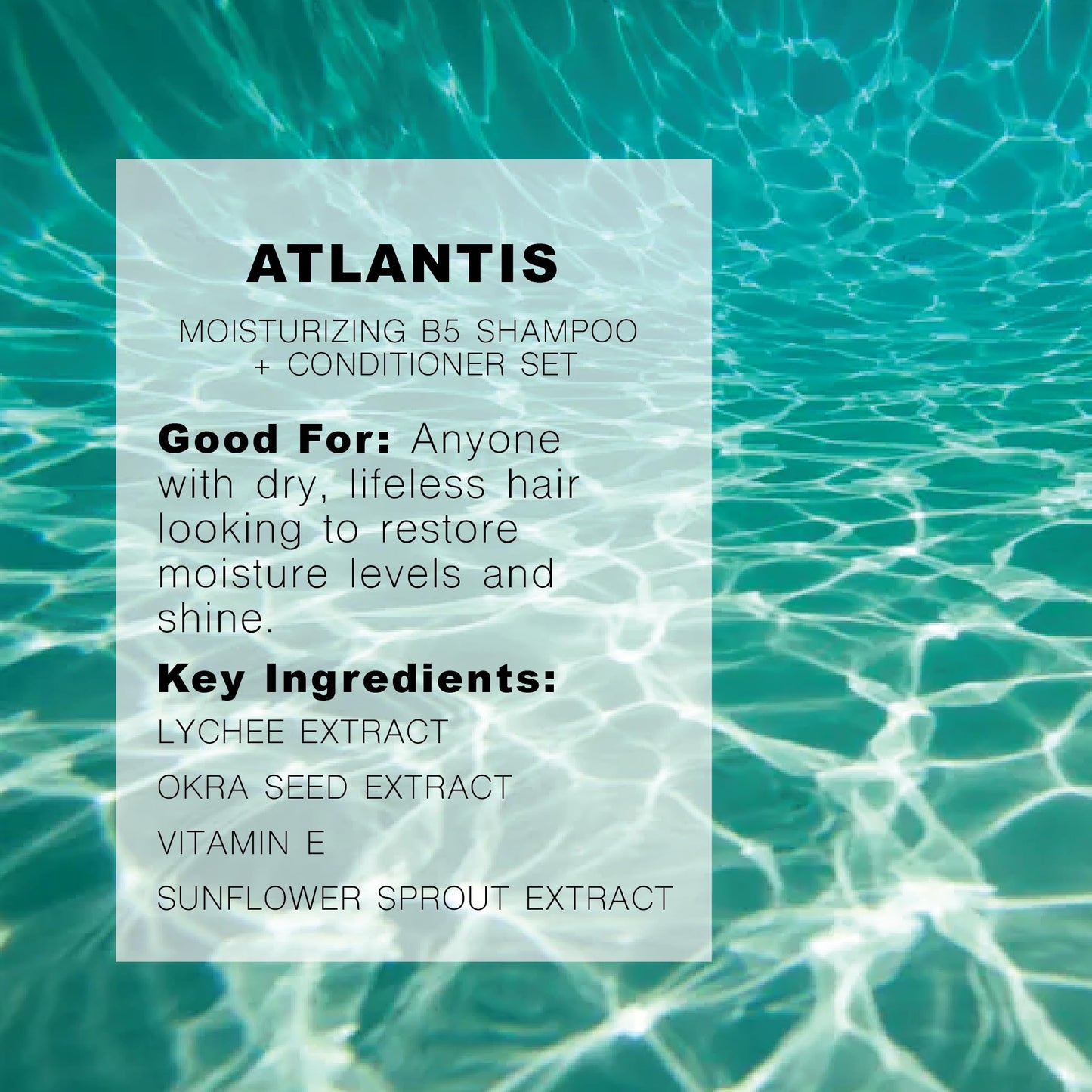 R+Co Atlantis B5 Shampoo + Conditioner Travel Set | Deep Hydration & Repair for Dry Hair | Vegan + Cruelty Free | 2oz (Pack of 2) Beauty & Personal Care R+Co