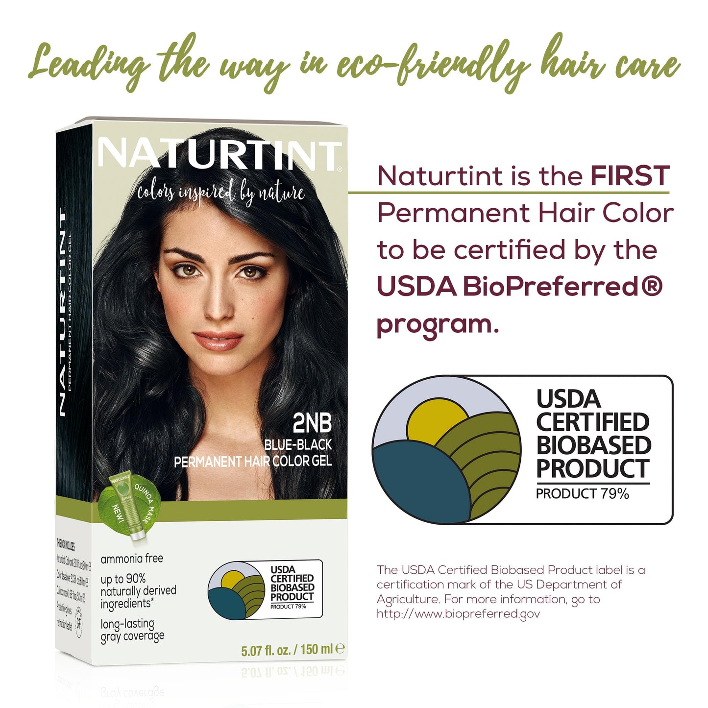 Naturtint 2NB Blue Black Permanent Hair Color (Pack of 1), Ammonia Free, Vegan, Cruelty Free, up to 100% Gray Coverage, Long Lasting Results Beauty & Personal Care Naturtint