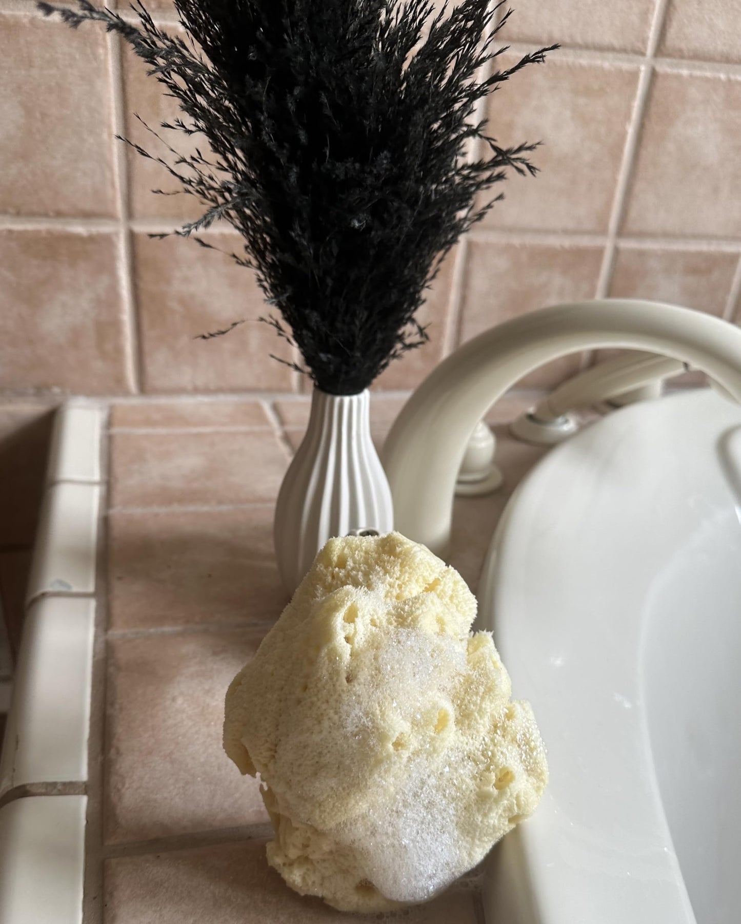 Spa Destinations Natural Sea Wool Sponge 6-7" Natural Renewable Resource Beauty and Personal Care Spa Destinations