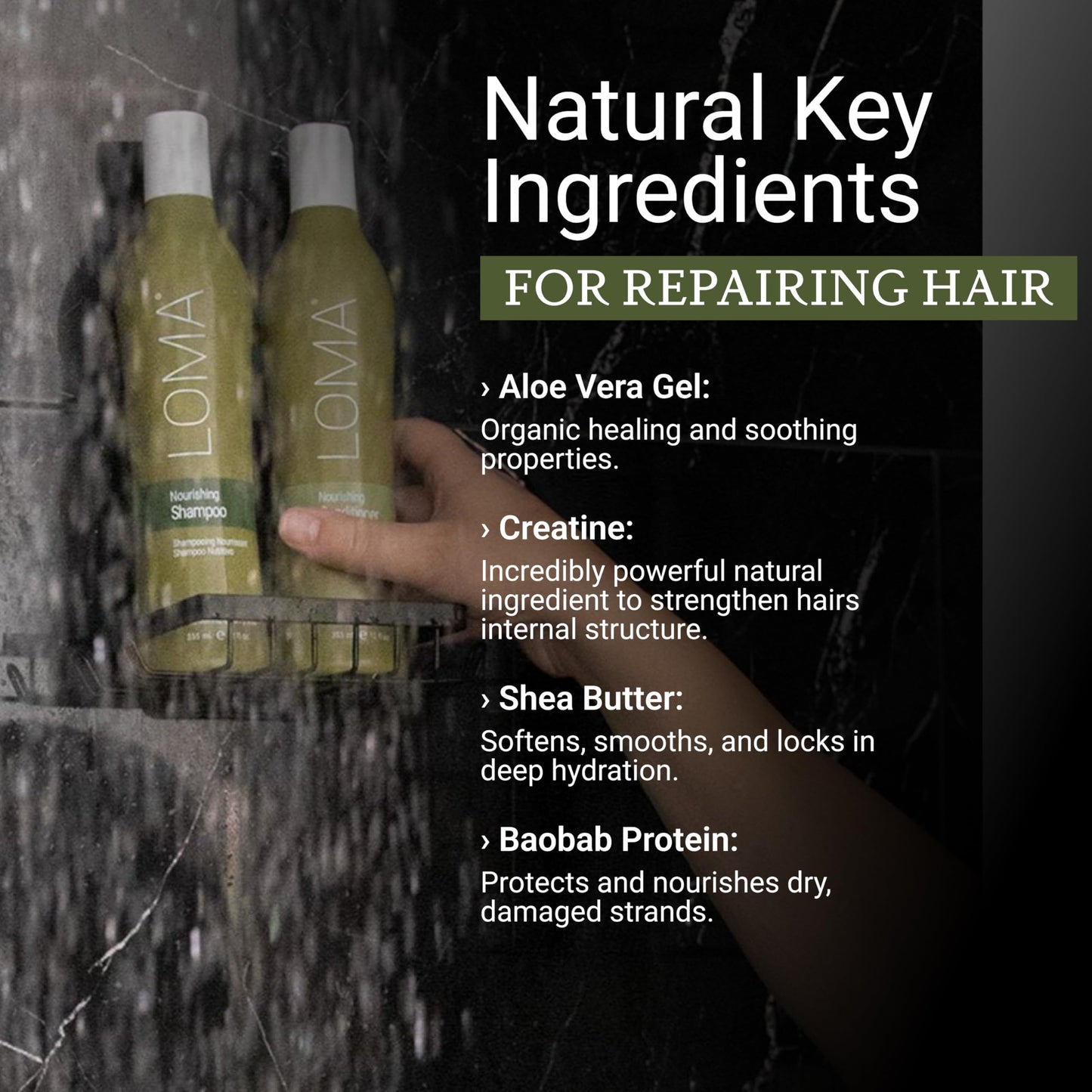 LOMA Nourishing Shampoo and Nourishing Conditioner (DUO PACK) 12 Ounce Beauty & Personal Care Loma