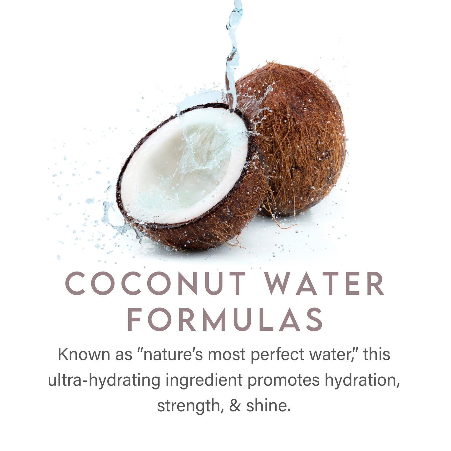 ALURAM Coconut Water Volumizing Foam, Lightweight Volume & Flexible Hold, 7 Fl Oz Beauty & Personal Care ALURAM