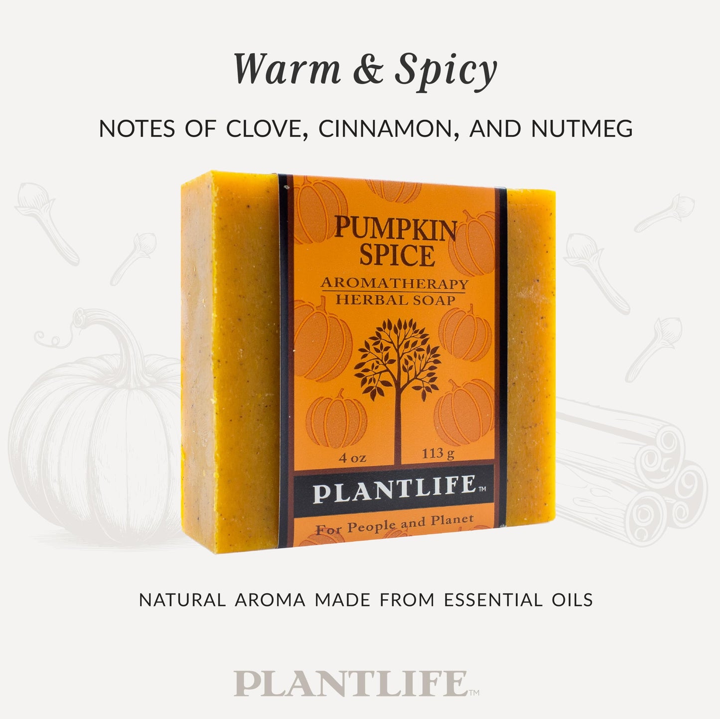 Plantlife Pumpkin Spice Bar Soap - Moisturizing and Soothing Soap for Your Skin - Hand Crafted Using Plant-Based Ingredients - Made in California 4oz Beauty & Personal Care Plantlife