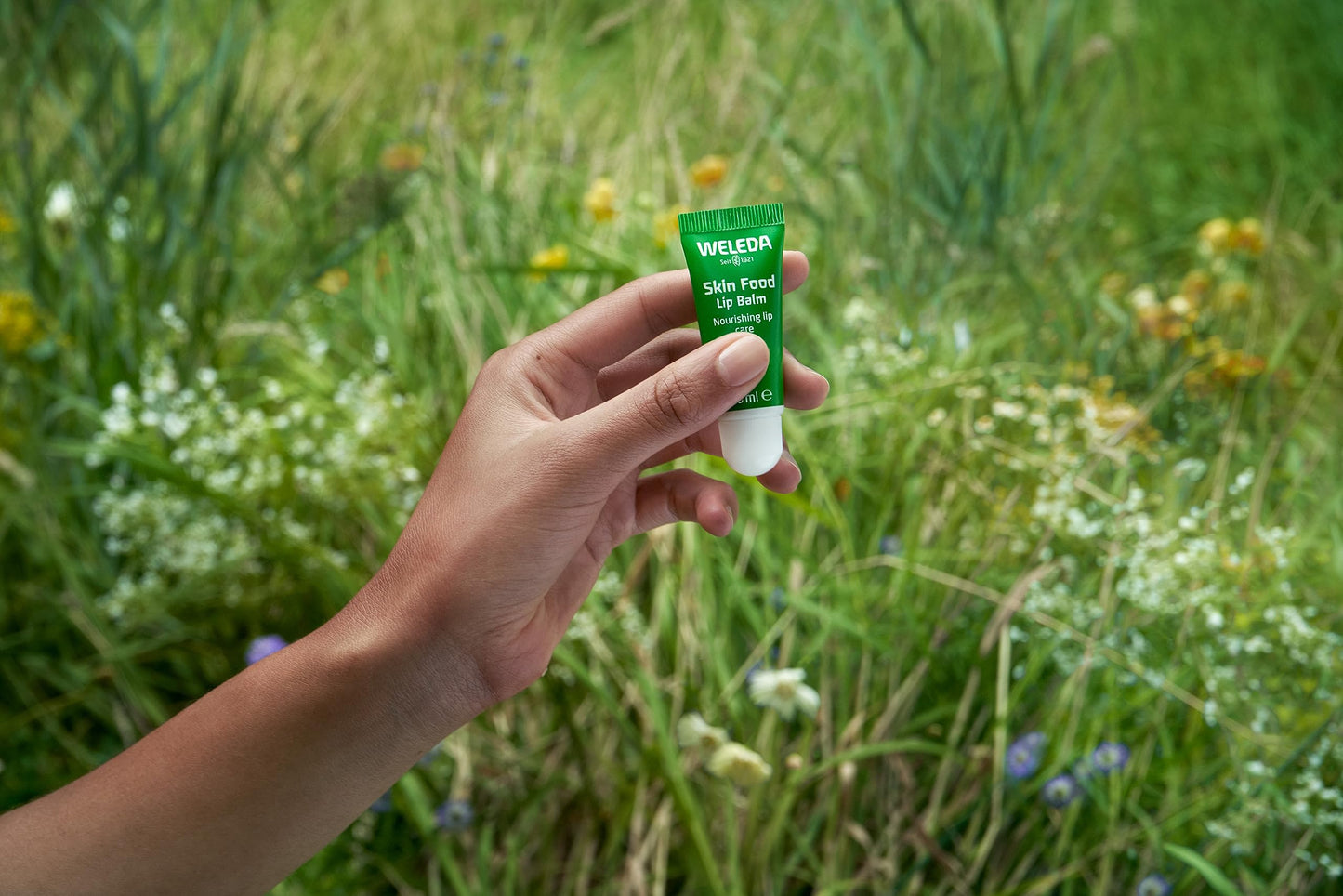 Weleda Skin Food Lip Butter, 0.27 Ounce, Plant Rich Moisturizing Lip Care with Sunflower Seed Oil, Chamomile and Calendula Beauty and Personal Care Weleda