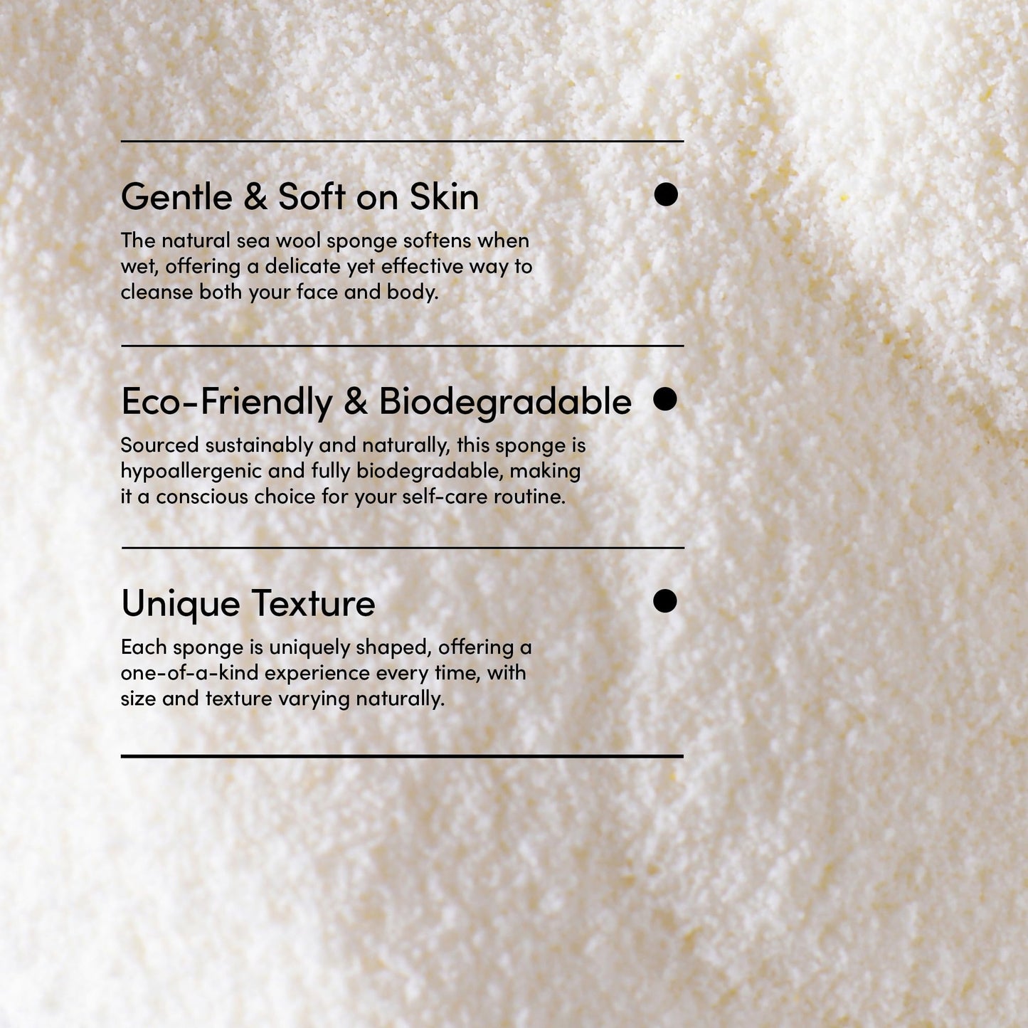 LATHER - Natural Sea Wool Sponge, 5-6" - Organic Exfoliating Body Scrubber - Soft, Gentle Cleansing - Hypoallergenic - All Skin Types - Florida Beauty & Personal Care LATHER