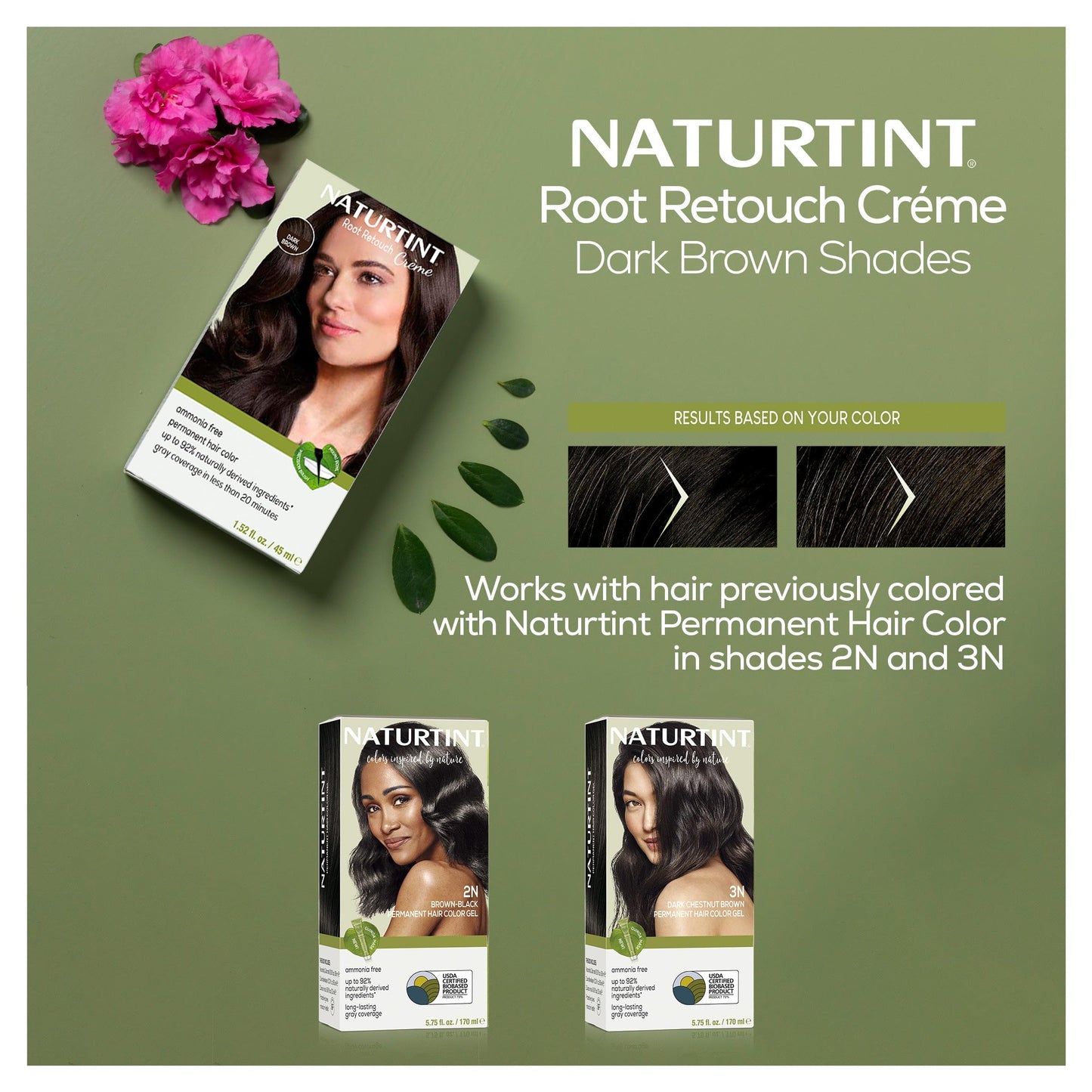 Naturtint Dark Brown Root Retouch Crème Permanent Hair Color - Ammonia Free, Conceal Grays, No Artificial Scent, 1.52 Fl Oz Beauty & Personal Care Naturtint