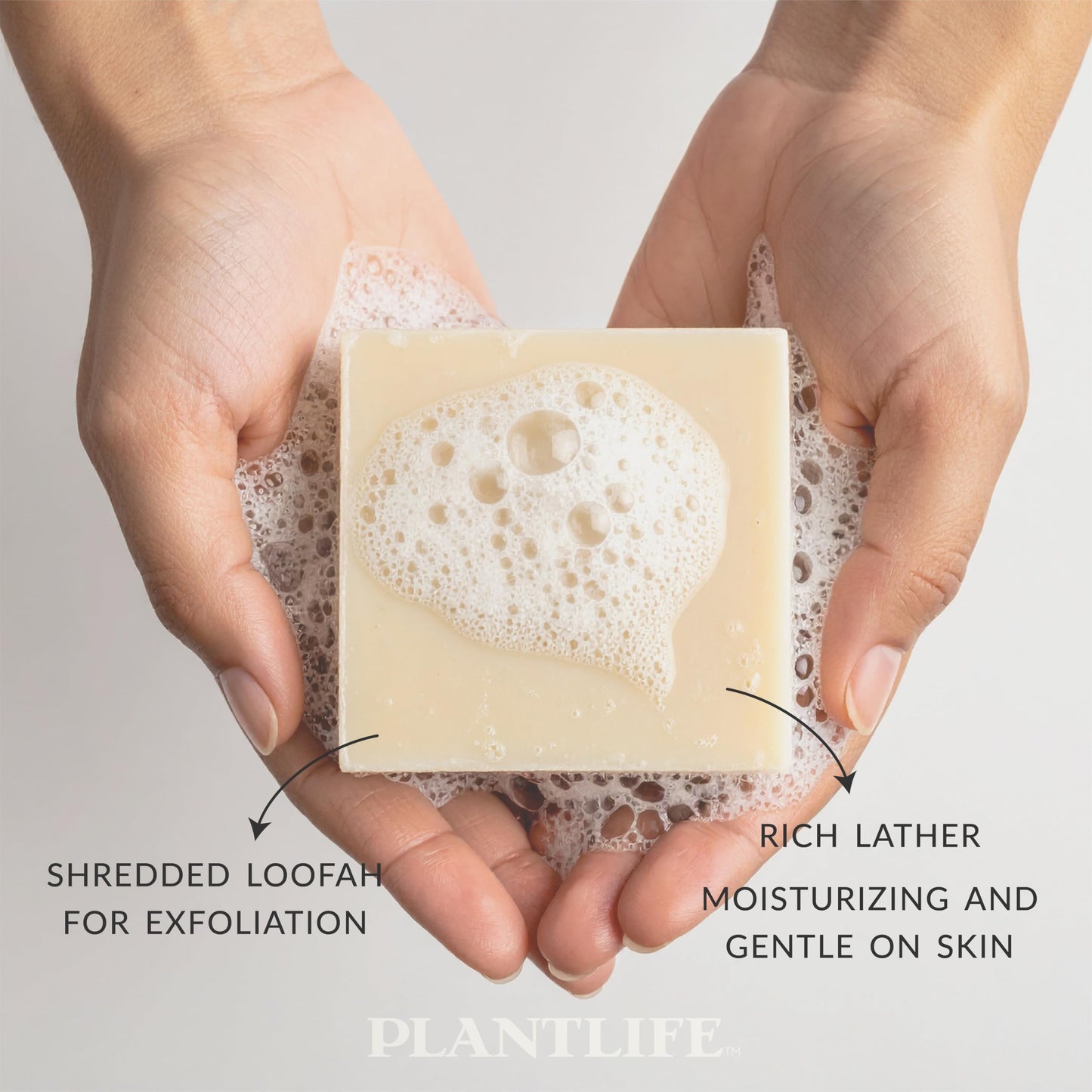 Plantlife Loofah Love Bar Soap - Moisturizing and Soothing Soap for Your Skin - Hand Crafted Using Plant-Based Ingredients - Made in California 4 oz Beauty & Personal Care Plantlife