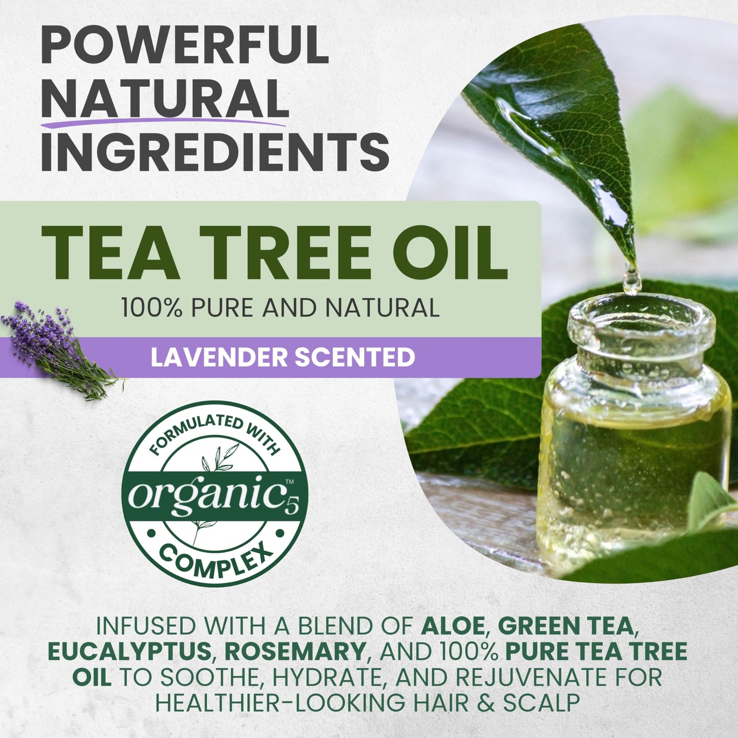 KESMEDIK Tea Tree Lavender Shampoo & Conditioner Set with Mint & Rosemary, Cleanses, Cools & Soothes Dry, Itchy Scalp, Sulfate & Paraben-Free, For All Beauty & Personal Care KESMEDIK