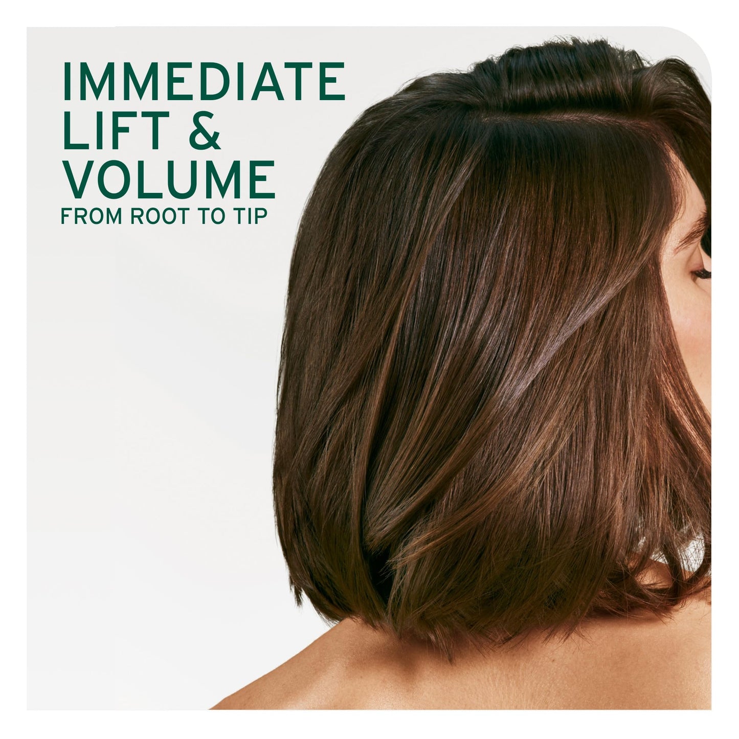 Biolage Volume Boost Conditioner - Weightless Moisture, Shine & Volume, Detangles Fine Hair, Soy Protein & Polymers, Vegan & Paraben-Free, 13.5 Fl Oz Beauty & Personal Care Biolage