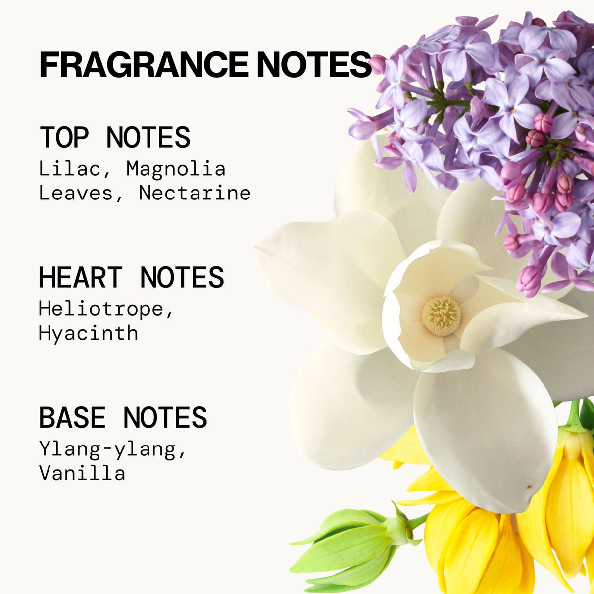 Pacifica French Lilac Spray Perfume - Clean Vegan Floral Fragrance for Women, Fresh-Cut Lilac & Powdery Magnolia Notes, Long-Lasting Romantic Spring Beauty & Personal Care Pacifica