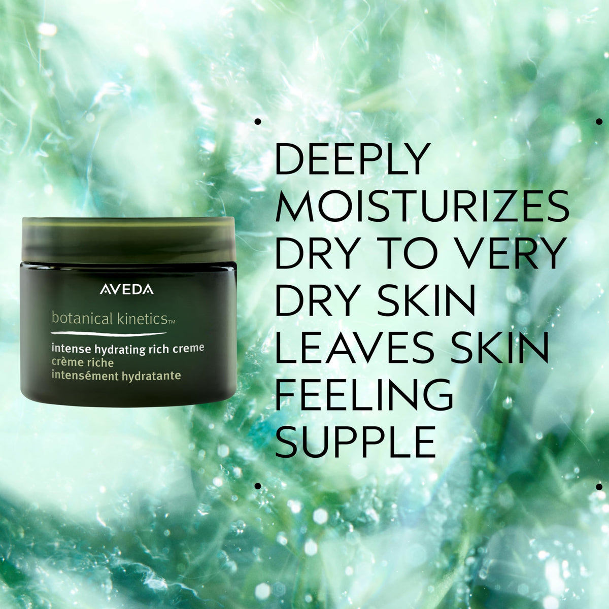 Aveda Botanical Kinetics Intense Hydrating Rich Creme | Face Cream for Dry to Very Dry Skin | with Cupuaçu Butter, 1.7 Fl Oz Beauty & Personal Care Aveda