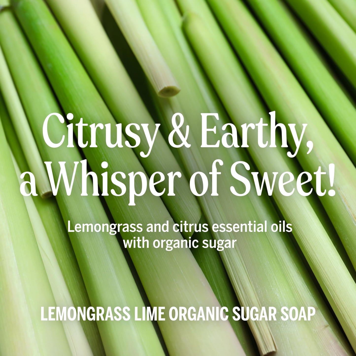 Dr. Bronner's - Organic Sugar Soap (Lemongrass, 24 Ounce) - Made with Organic Oils, Sugar and Shikakai Powder, 4-in-1 Uses: Hands, Body, Face Beauty & Personal Care Dr. Bronner's