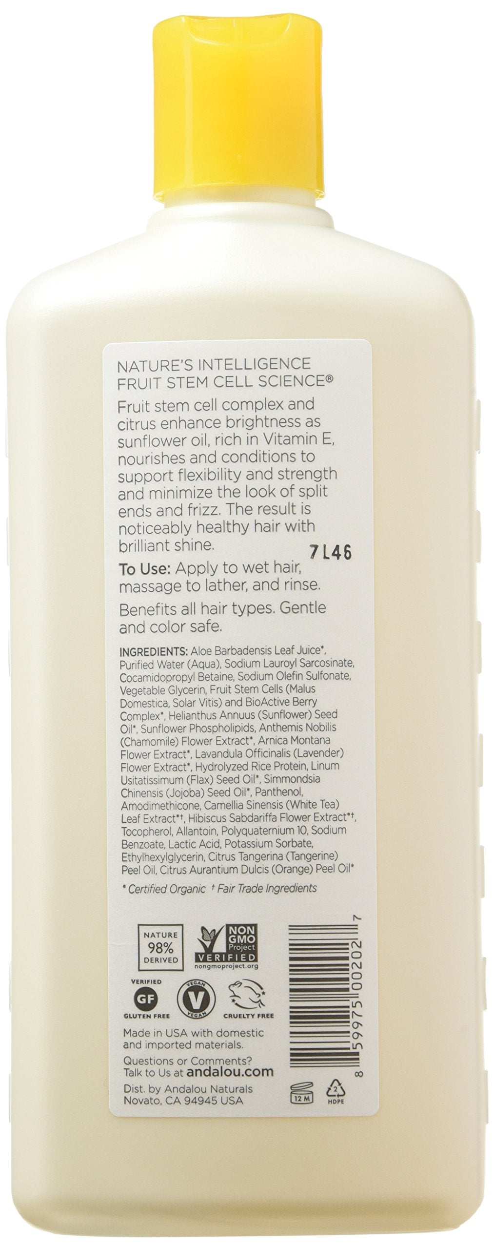 Andalou Naturals Sunflower and Citrus Brilliant Shine Shampoo, 11.5 Ounce Beauty & Personal Care Andalou Naturals