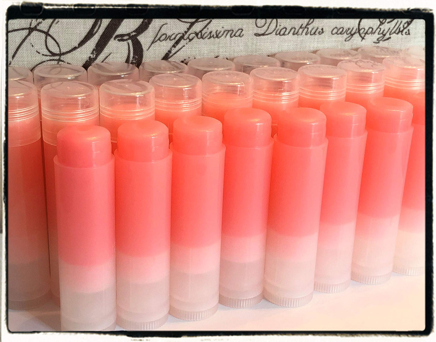 20 Rosé Wine Lip Balms in Clear Tubes Unbranded Bulk Wholesale Beauty and Personal Care Red Barn Farm of Maine