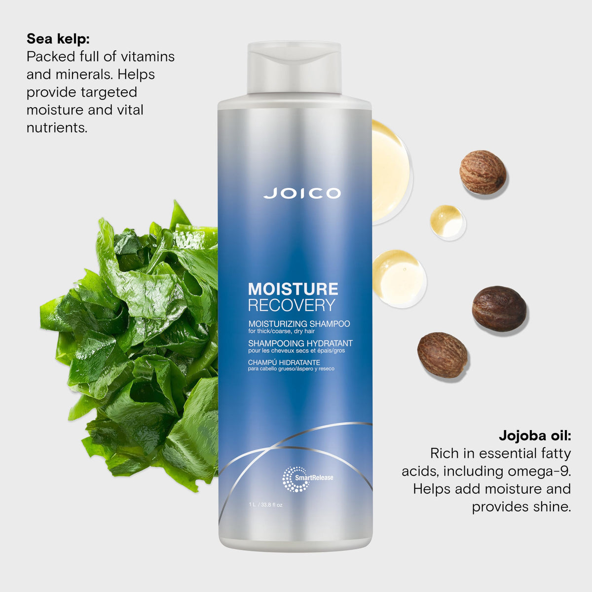 Joico Moisture Recovery Moisturizing Shampoo | For Thick, Coarse, Dry Hair | Restore Moisture, Smoothness, Strength, & Elasticity | Reduce Breakage | Beauty & Personal Care Joico
