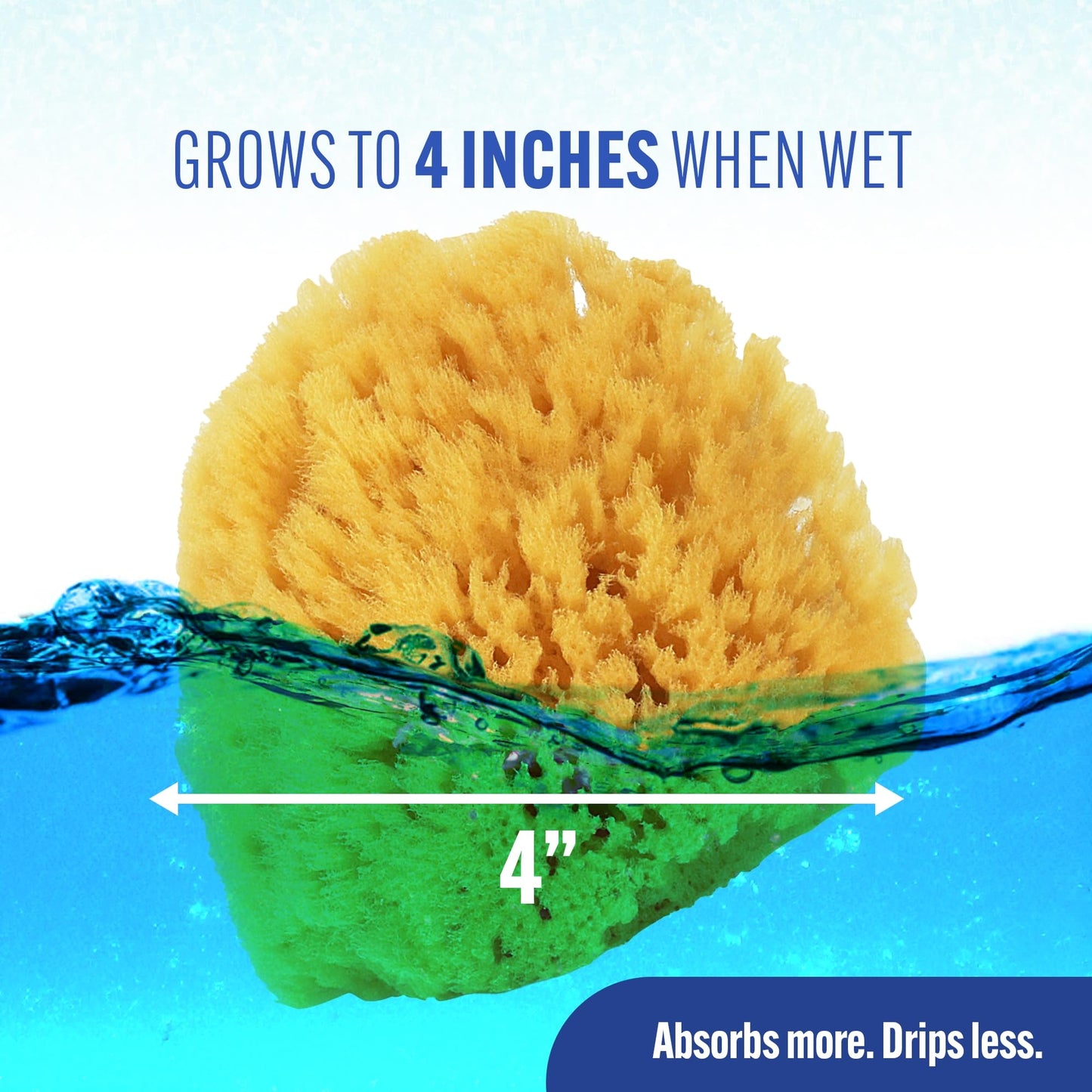 Baby Buddy Natural Baby Bath Sponge 4in Soft Grass Sea Sponge Soft on Baby's Tender Skin, Biodegradable, Hypoallergenic, Absorbent Natural Sea Sponge Beauty and Personal Care Baby Buddy