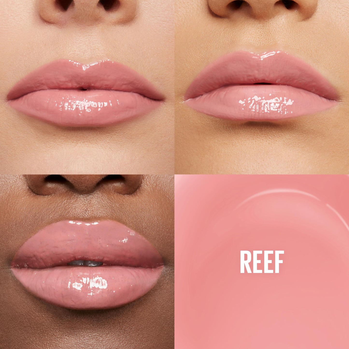 Maybelline Lifter Gloss, Hydrating Lip Gloss with Hyaluronic Acid, High Shine for Plumper Looking Lips, Reef, Peachy Neutral, 0.18 Ounce Beauty & Personal Care MAYBELLINE