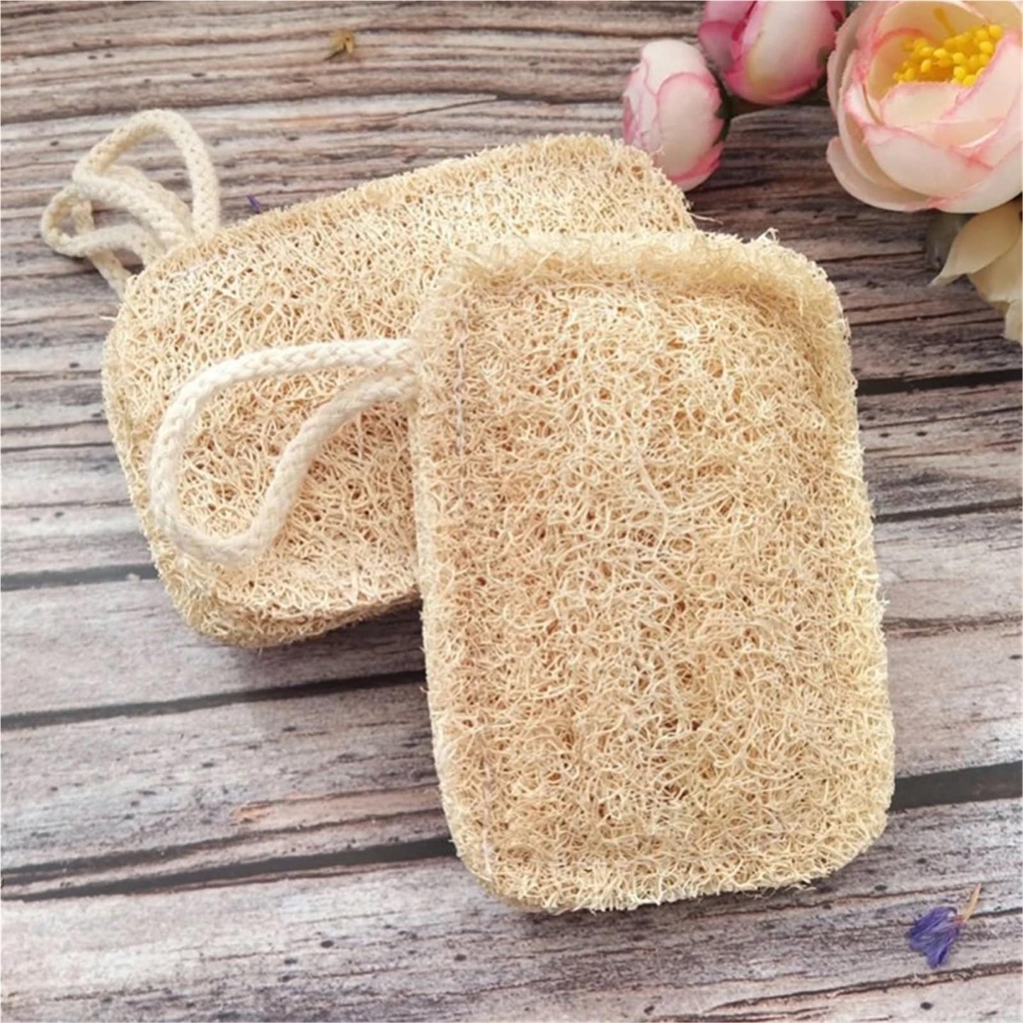 Kitchen Loofah Sponge Greener Clean Tools Non-Scratch Brush Natural Dish Scrubbers Luffa Loofa Lufa Sponge Tools(1 pcs) Beauty and Personal Care HIVJEEDYH