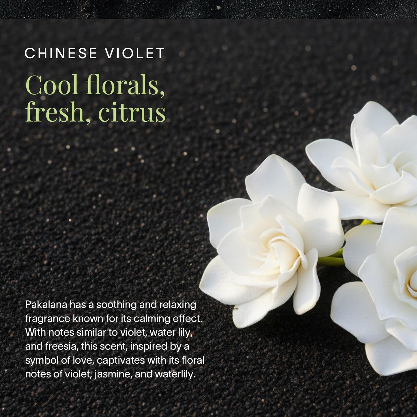 Pakalana Chinese Violet Body and Hair Mist from Hawaii, Hair Perfume for a Light, Hydrating Refresh, Body Mist for Women and Men, Alcohol-Free Beauty & Personal Care Ua Body