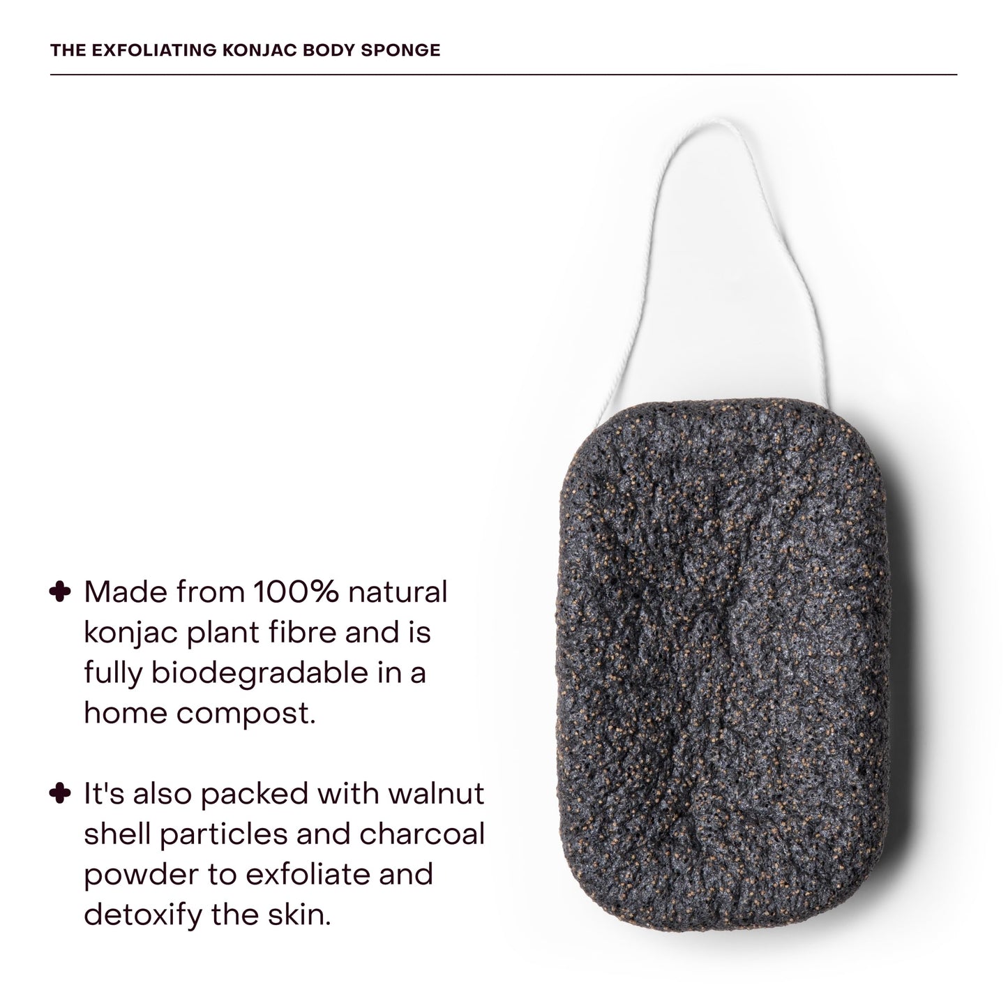 Everist The Exfoliating Konjac Body Sponge, Natural, Reusable, Compostable Bath Sponge for Sensitive Skin, Charcoal Cleansing, 60+ Uses, 1 Each Beauty and Personal Care Everist