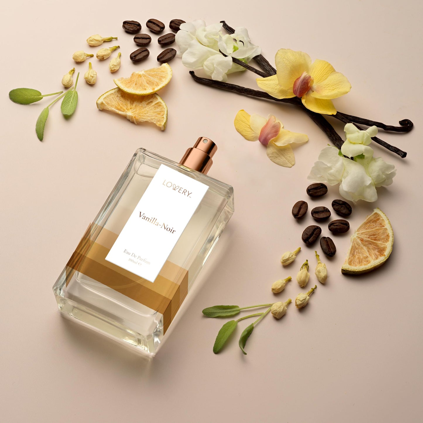 Vanilla Noir Perfume for Women, 100ml Womens Perfumes - Long Lasting Eau de Parfum Clean Fragrance - Tobacco, Ginger, Vanilla, Tonka Bean, Birthday Beauty & Personal Care LOVERY