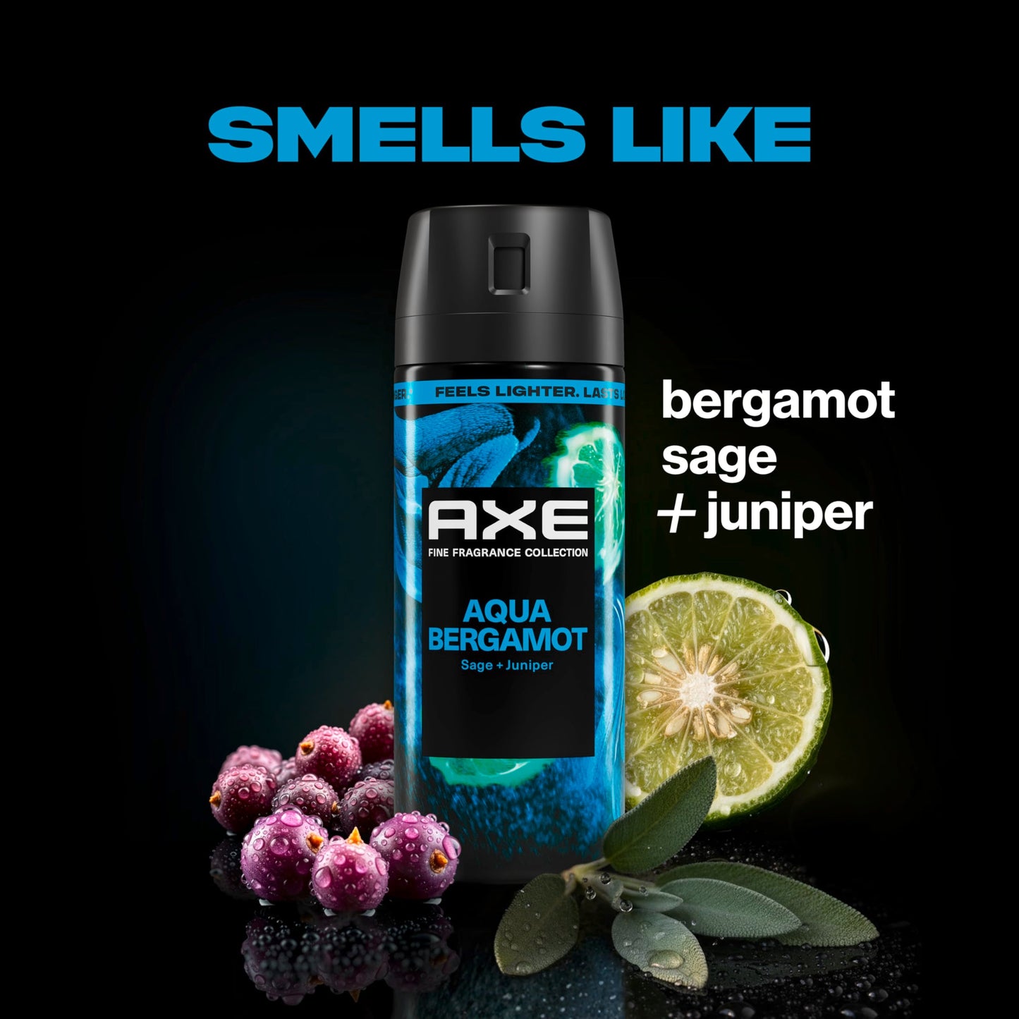 AXE Fine Fragrance Collection Body Spray Aqua Bergamot 72 Hour Freshness Aluminum Free 2.9 oz Beauty and Personal Care AXE