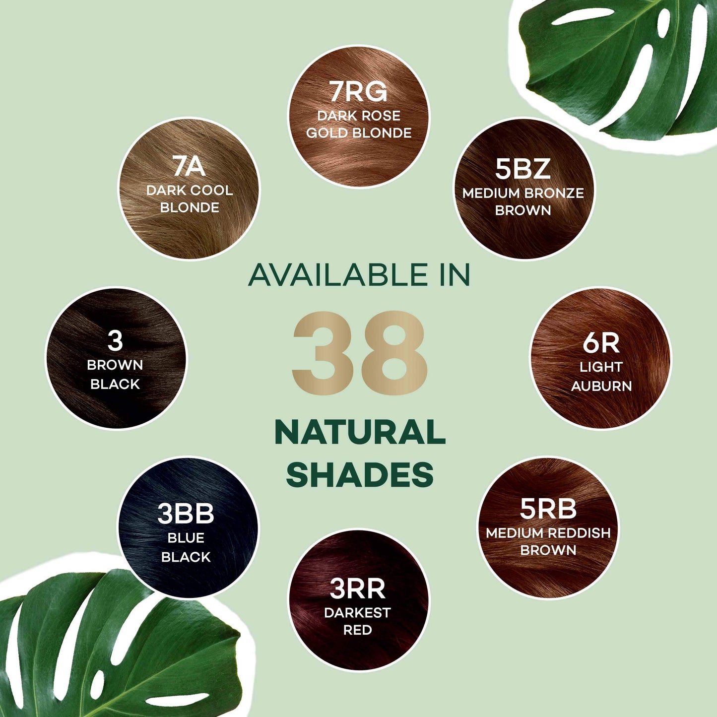 Clairol Natural Instincts Hair Color, [5R] Medium Auburn 1 Each Beauty & Personal Care Clairol