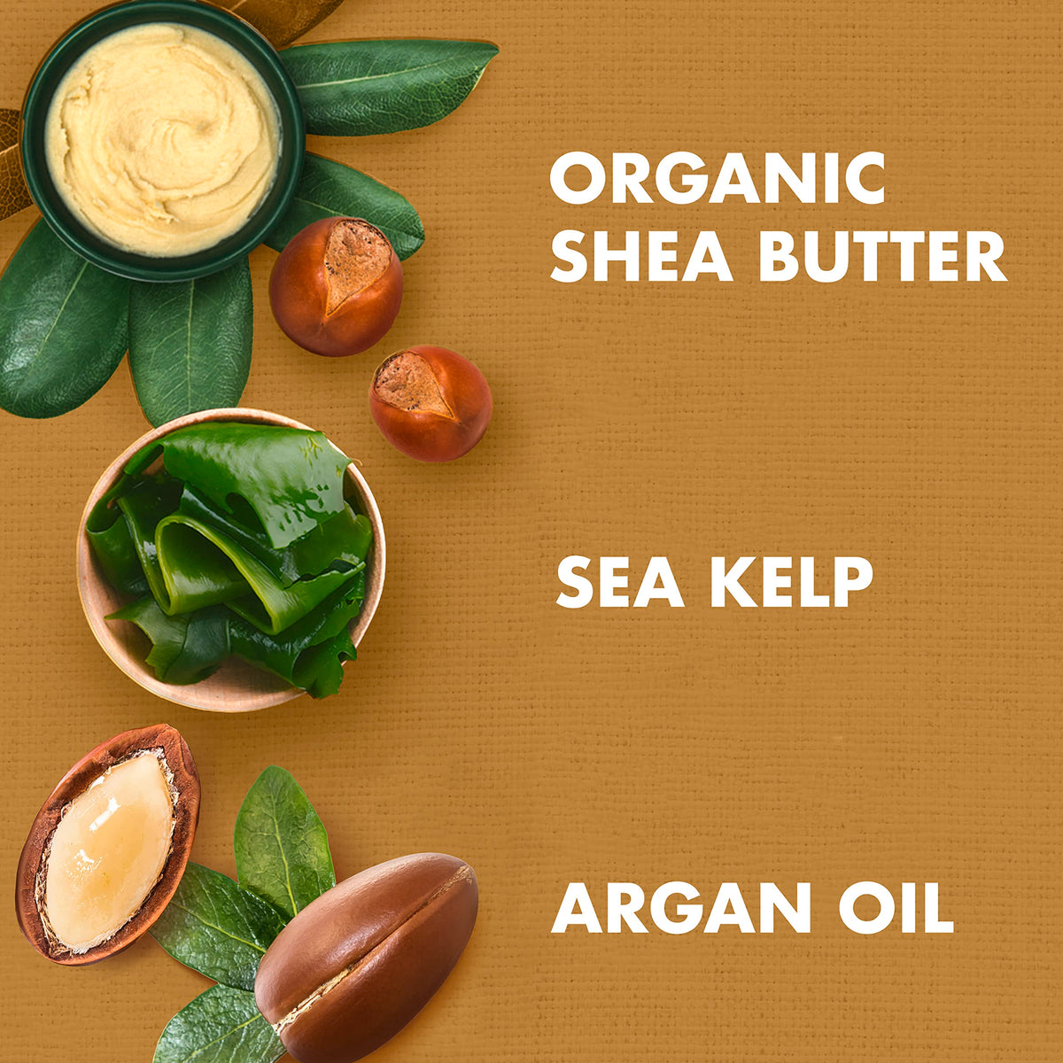 SheaMoisture Raw Shea Butter Deep Moisturizing Twist Defining Custard To Moisturize and Define Your Curls 11.5 oz Beauty & Personal Care SheaMoisture