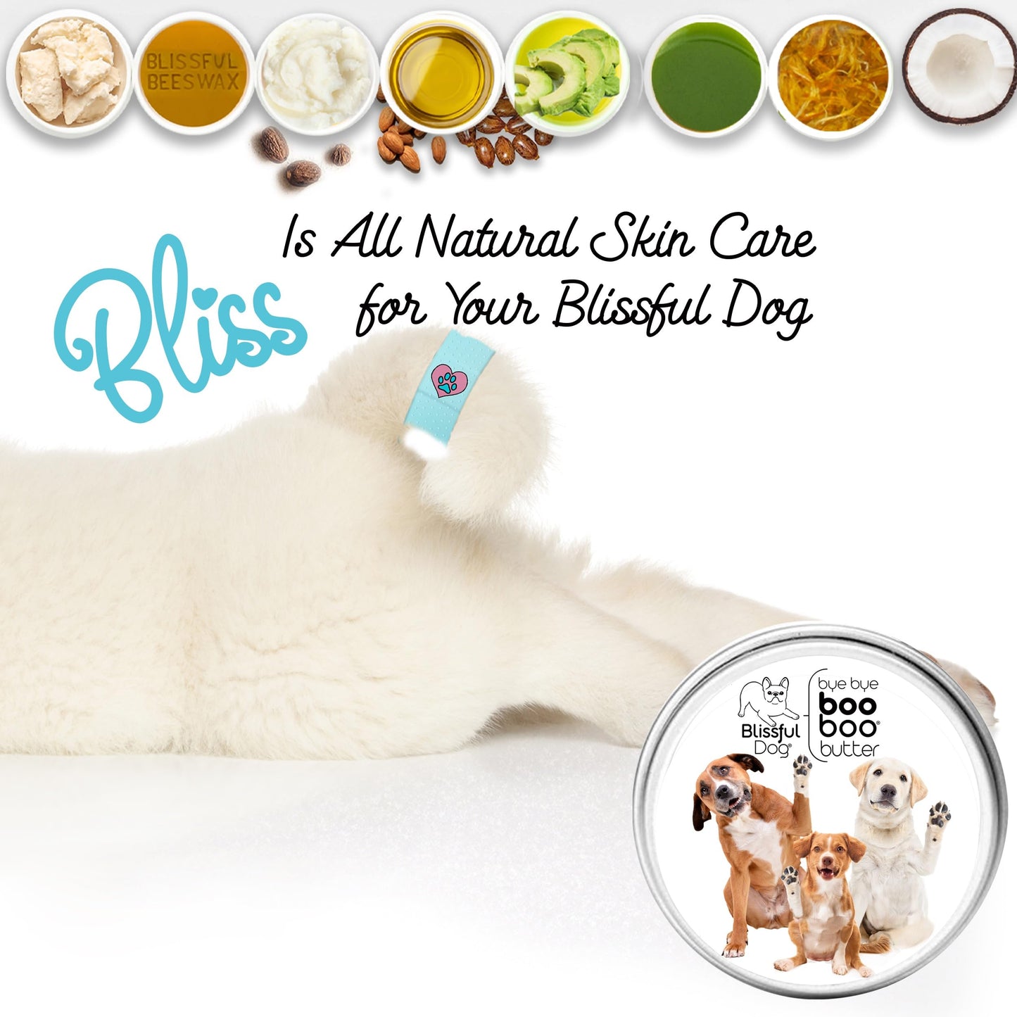 The Blissful Dog Mixed Breed Boo Butter, 4 oz Beauty and Personal Care The Blissful Dog