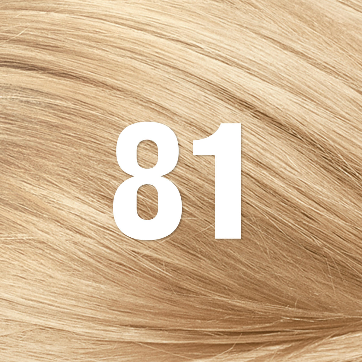 Revlon ColorSilk with Bond Repair Complex, Blonde Permanent Hair Color, 100% Gray Coverage, Ammonia Free Hair Dye, Vegan Keratin, 81 Light Blonde Beauty & Personal Care REVLON