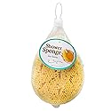 Jacent Deep Cleaning Foam Body Sponge, 1 EA Beauty & Personal Care Jacent