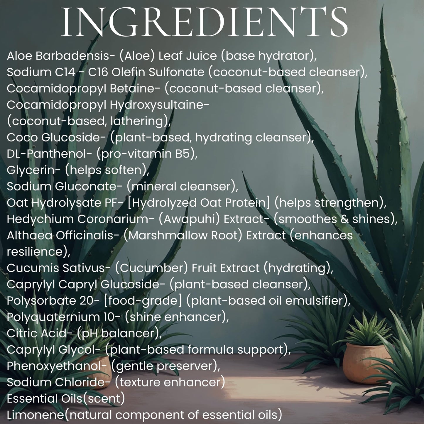 Rustic Strength Nourish Botanicals Aloe Vera Body Wash, Viridian Grove 16 oz Beauty & Personal Care Rustic Strength