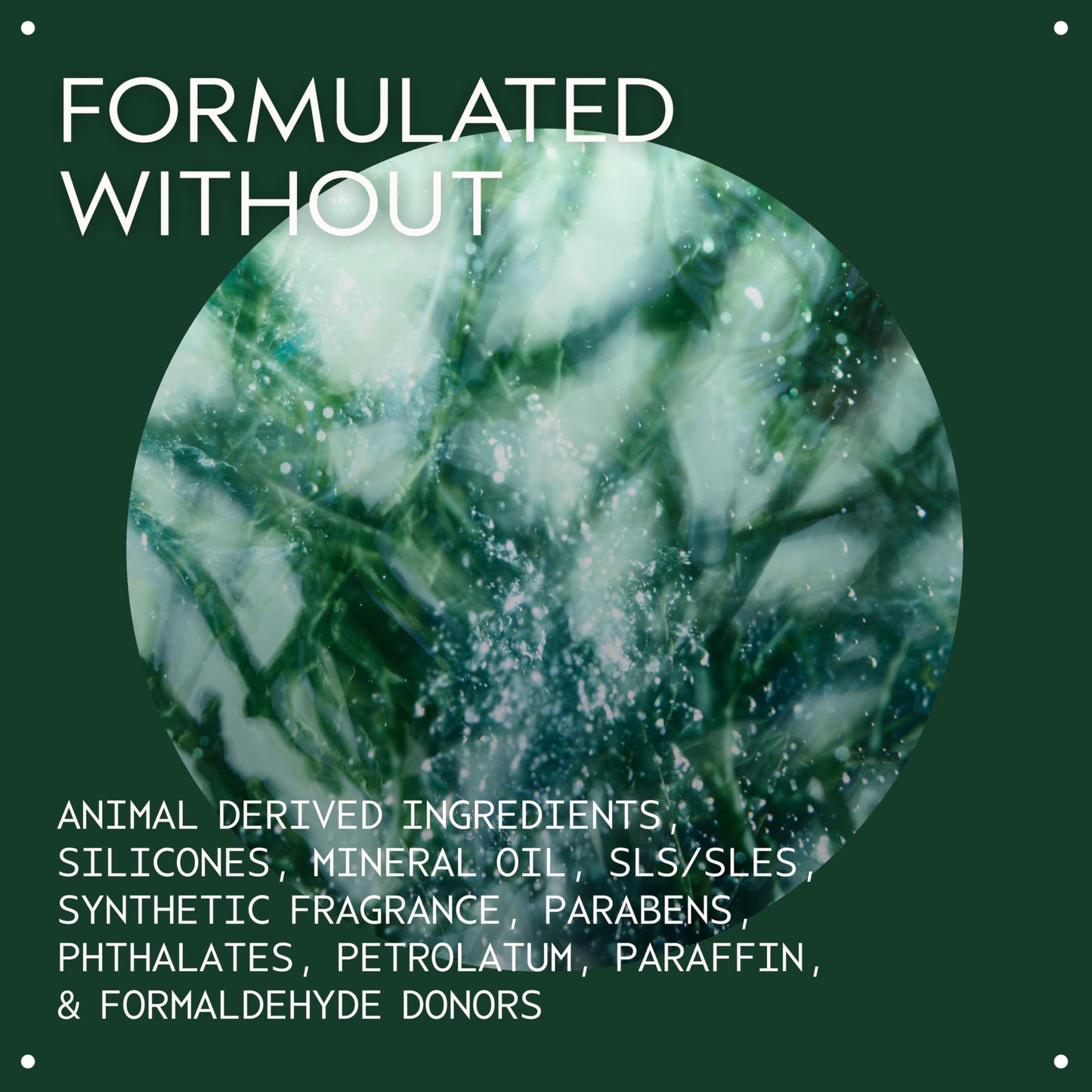 Aveda Botanical Kinetics Exfoliant | Liquid Exfoliant for All Skin Types | Smoothes, Clears, Refines Skin, 5 Fl Oz Beauty & Personal Care Aveda