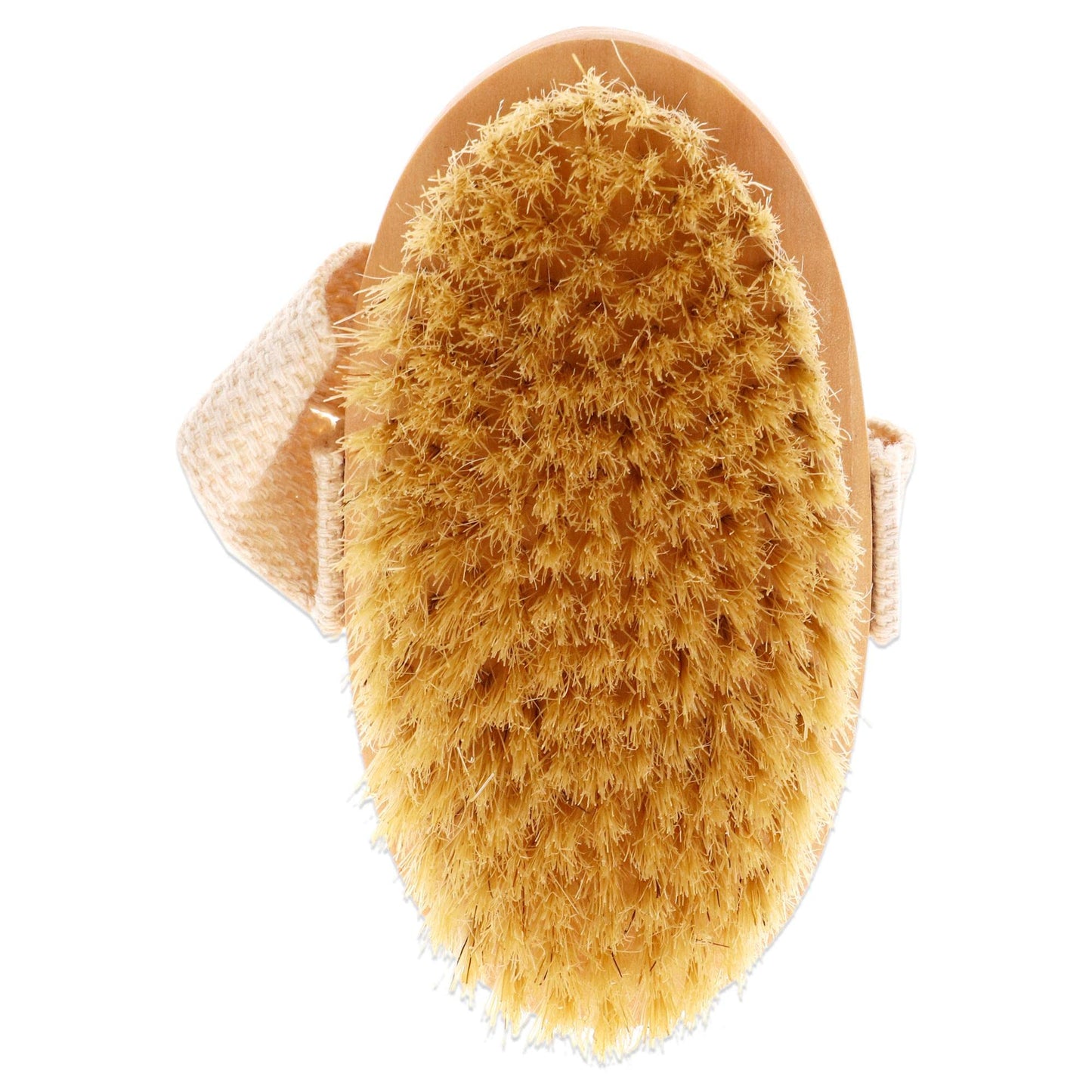 Fantasea Natural Bristle Body Brush Beauty & Personal Care Fantasea