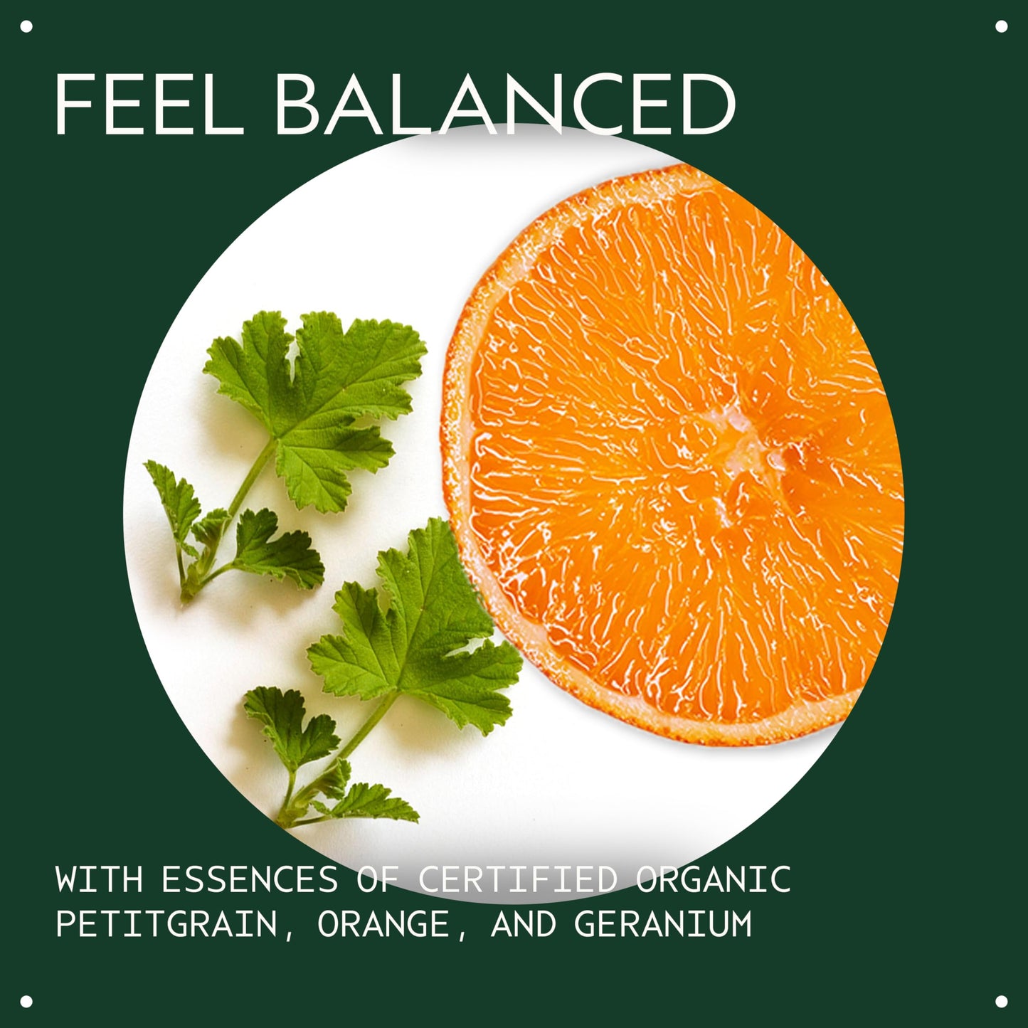 Aveda Chakra 6 Balancing Pure-Fume Mist: Intuition | Body & Room Spray | Balances Intuition Chakra | With Certified Organic Petitgrain, Orange Beauty & Personal Care Aveda