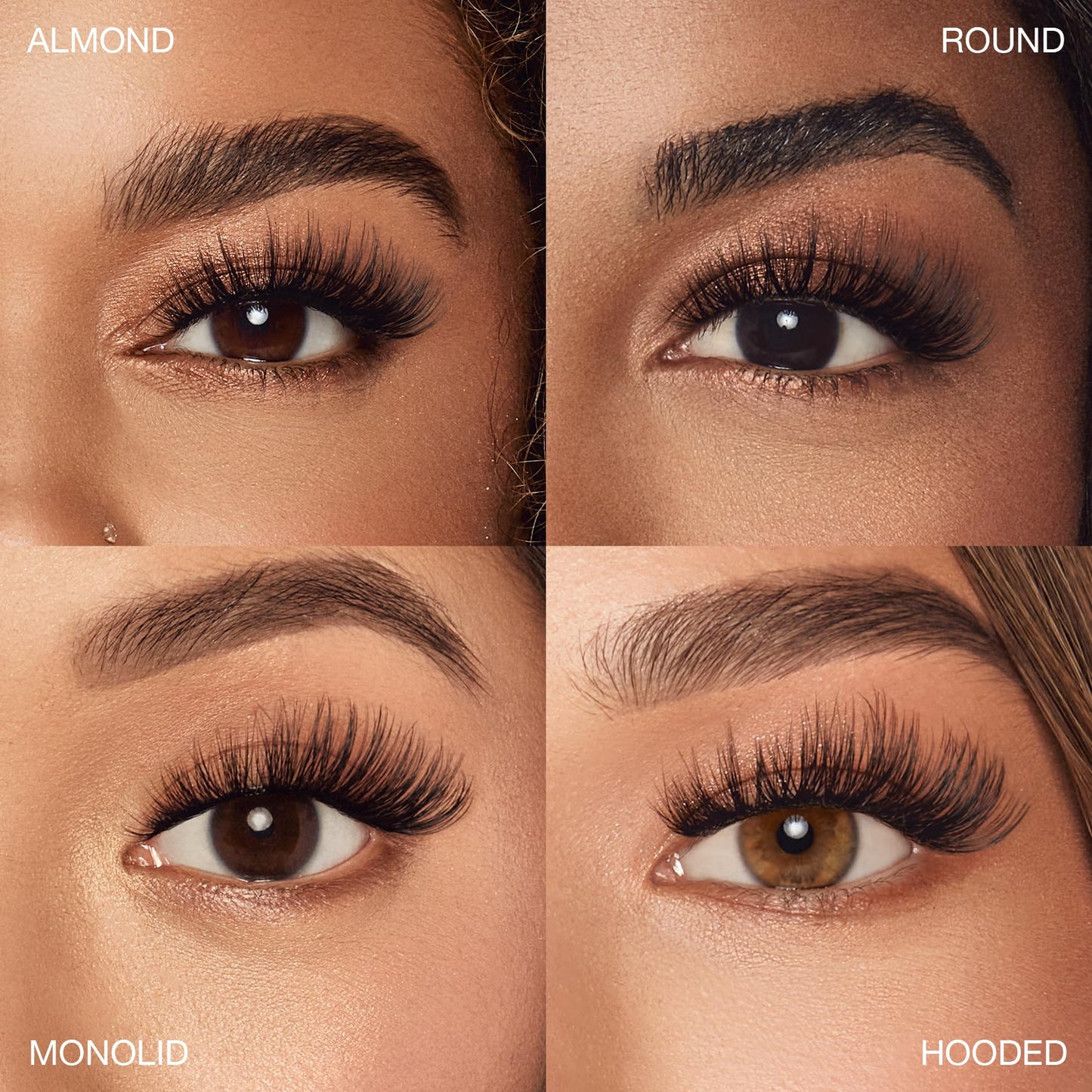 8D Lashes 953 Beauty & Personal Care Ardell