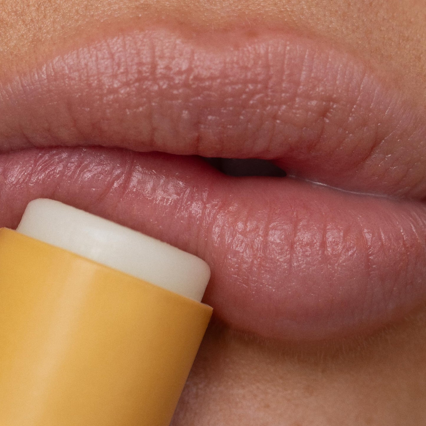 Poppy & Pout Lip Care Set - Lip Balm & Scrub - Sustainable Cardboard Tubes & Glass Jars, All Natural, Beeswax, Coconut Oil, Cruelty Free, Exfoliating Beauty and Personal Care Poppy & Pout