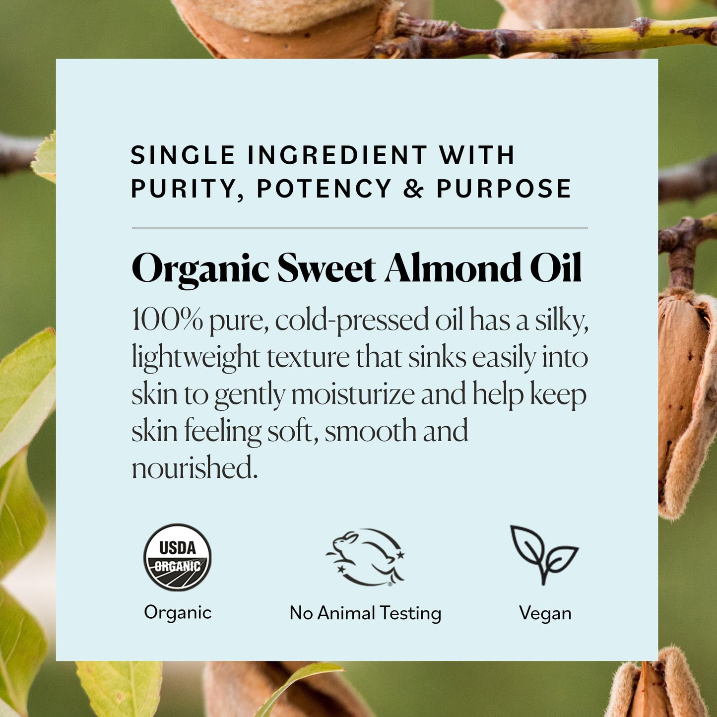 Sky Organics - Organic Sweet Almond Oil, 16 fl oz - Soft & Soothe Oil - Skin Moisturizer - Silky, Lightweight Texture - 100% Pure - Non-Greasy Beauty & Personal Care Sky Organics