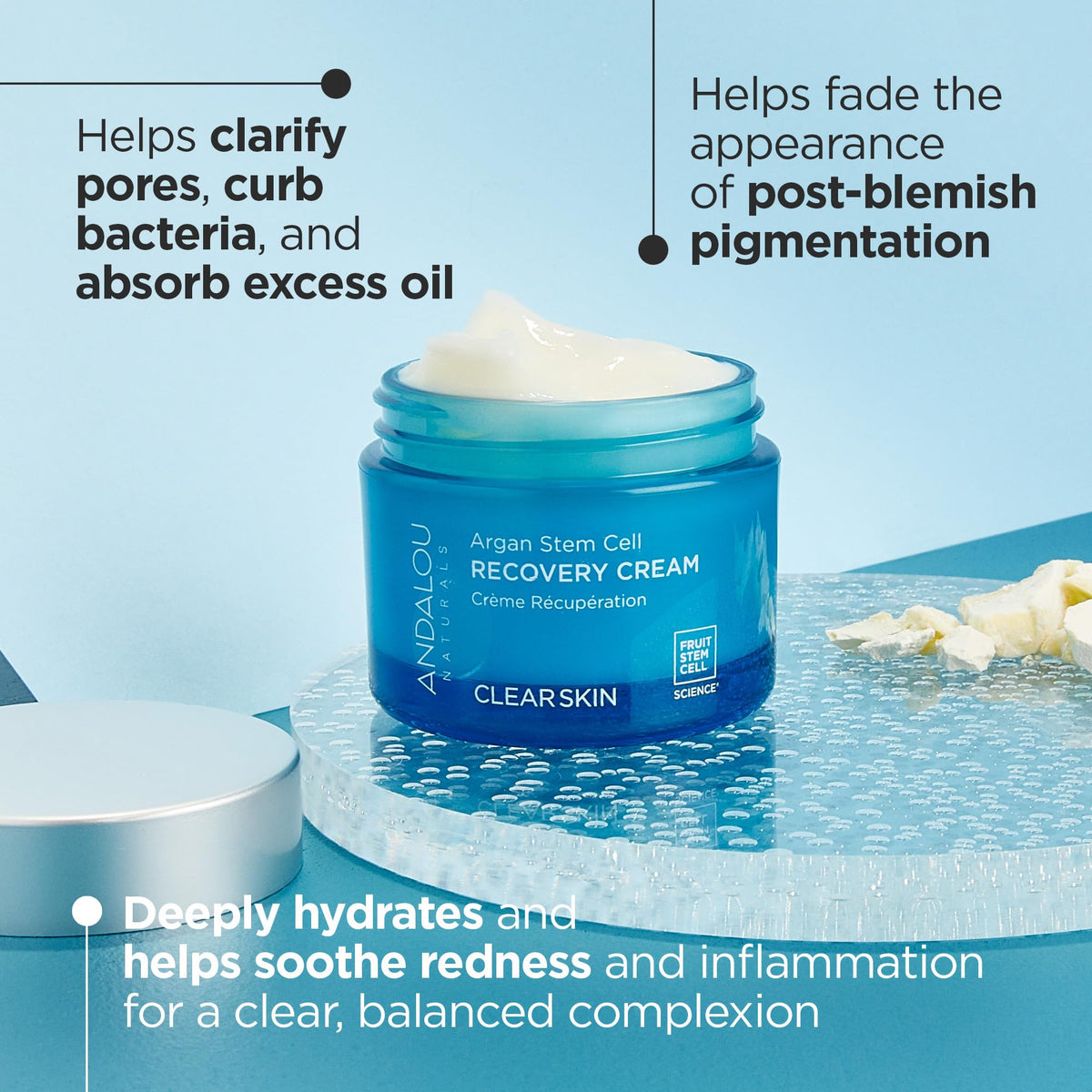 Andalou Naturals Argan Stem Cell Recovery Cream oz For Oily or Overreactive Skin Helps Clarify Cleanse Pores for Glowing Skin, Aloe Vera, 1.7 Ounce Beauty & Personal Care Andalou Naturals