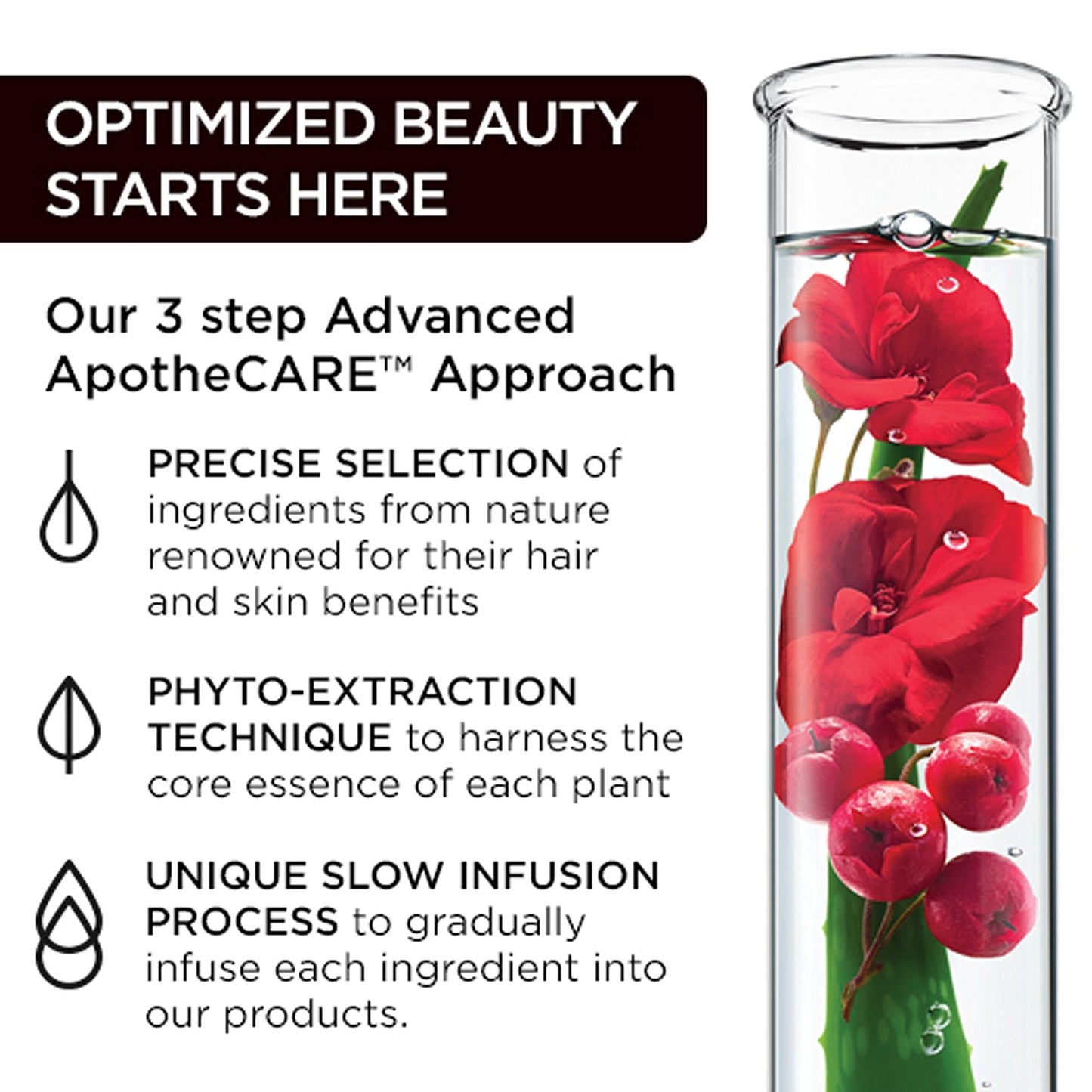 NEW ApotheCARE Essentials Discovery 5 Piece Hair & Body Set: Volume Shampoo + Volume Conditioner + 2x Deep Treatment Hair Masks + BONUS Face & Body Beauty & Personal Care ApotheCARE Essentials