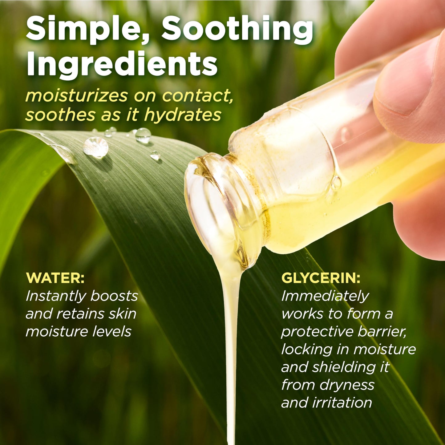 Corn Huskers Hand Lotion for Dry, Cracked Hands, Fast Absorbing, Non-Greasy Moisturizer For Men and Women, 7 Fluid Ounce Beauty & Personal Care Corn Huskers
